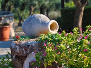 Antico vaso nel giardino Agriturismo Regno di Marzagaglia Gioia del Colle