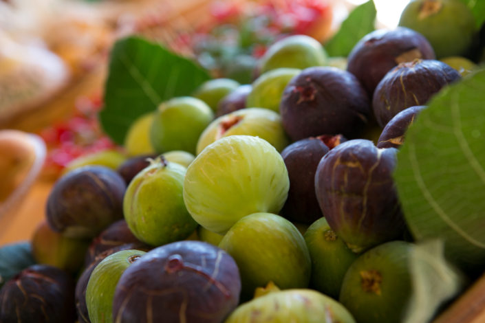 Fichi Agriturismo Regno di Marzagaglia