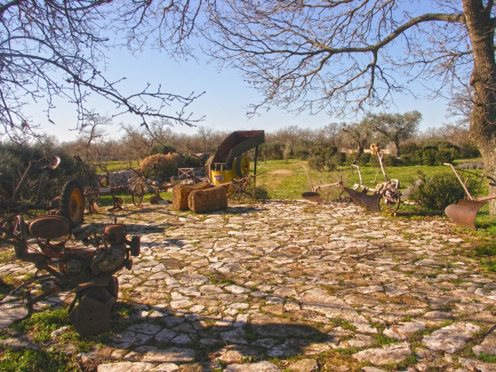 Attrezzi d'epoca della civiltà contadina - Agriturismo Regno di Marzagaglia Gioia del Colle